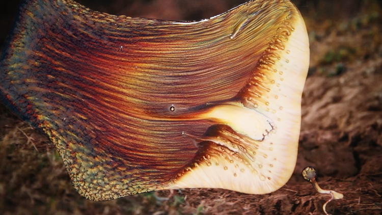 Still from Vortex (2019)
