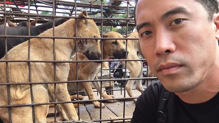 Dog meat festival