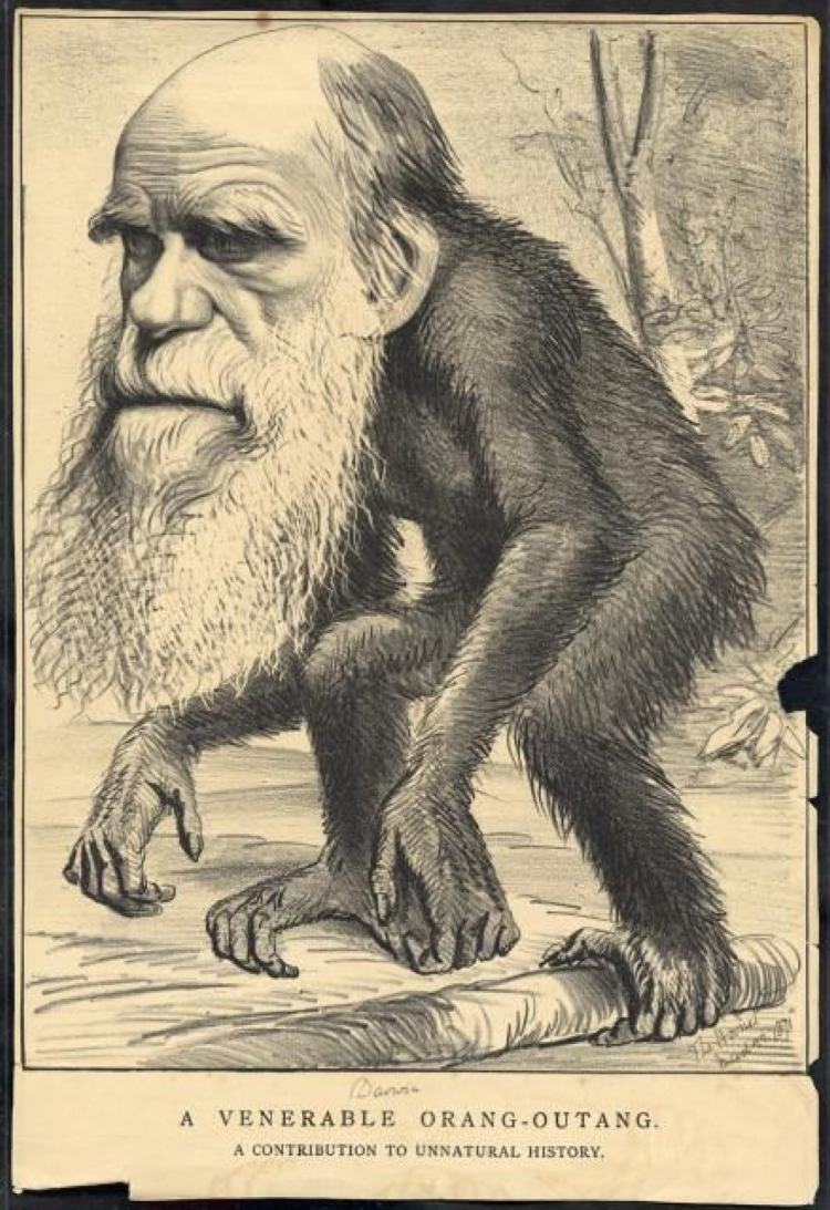 Charles Darwin: A caricature