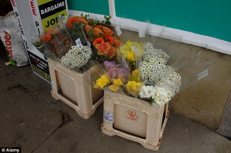 Bargain flowers