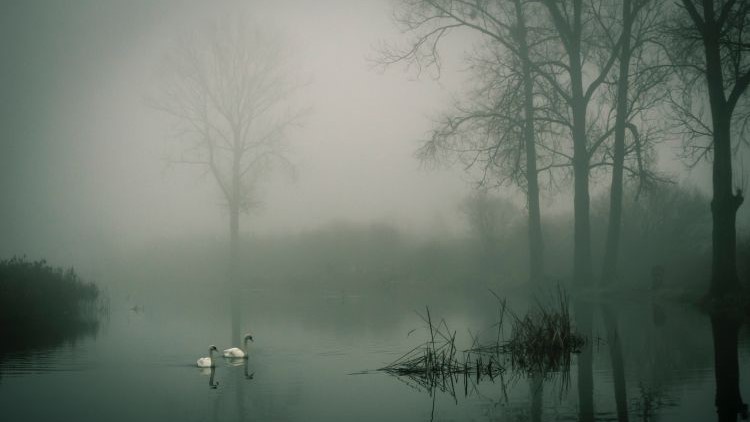 gloom