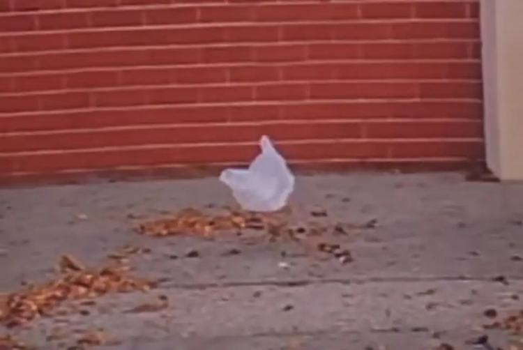 Plastic bag