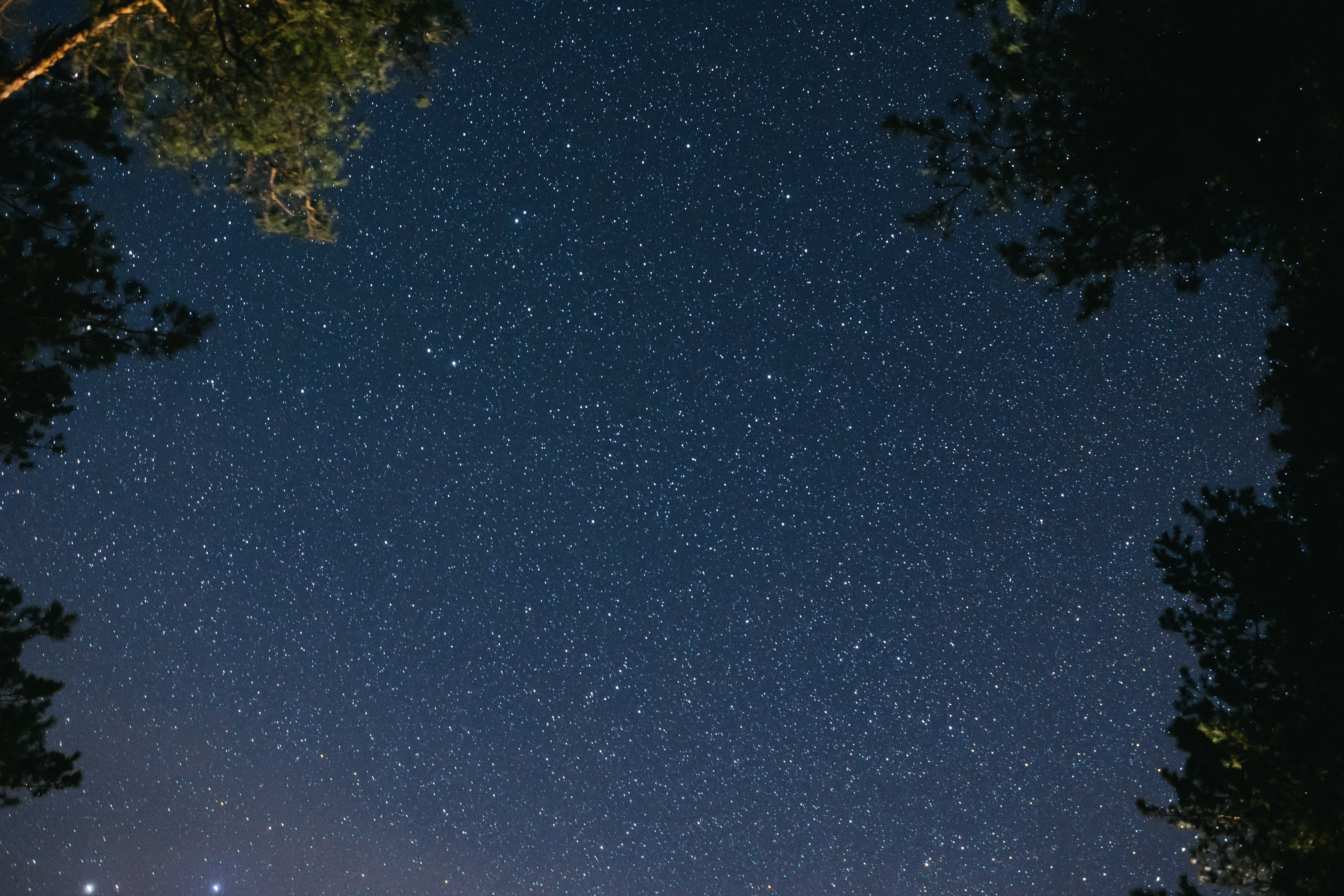 stars