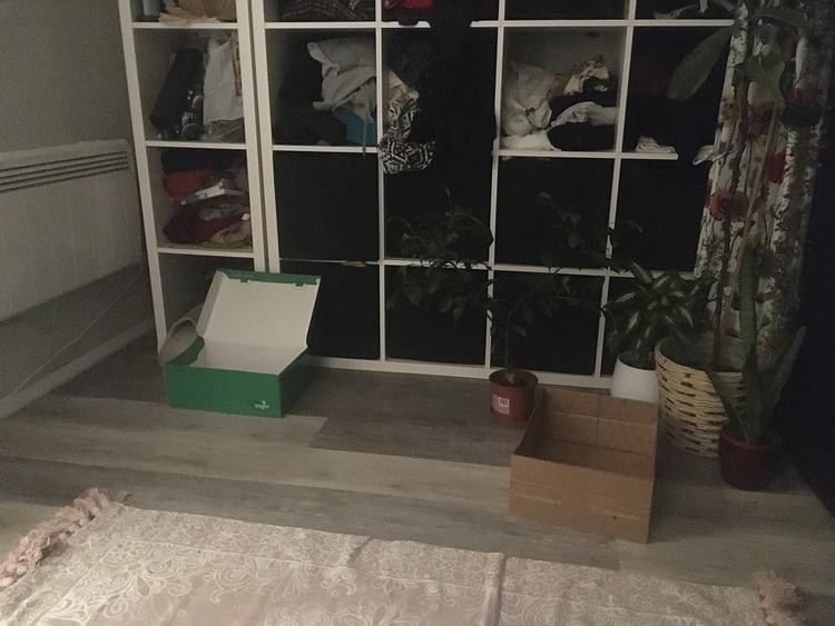 Jess boxes