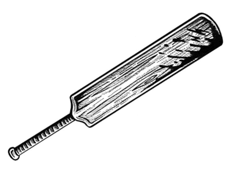 Cricket bat