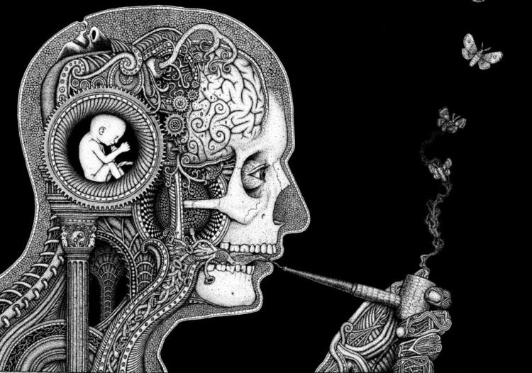 Mind or body?