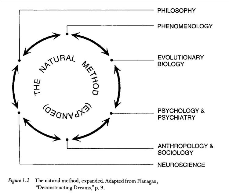 Diagram of dreaming
