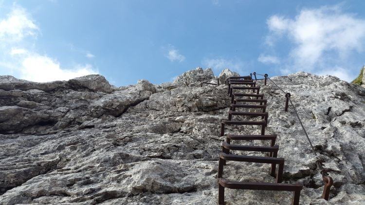 Ladders