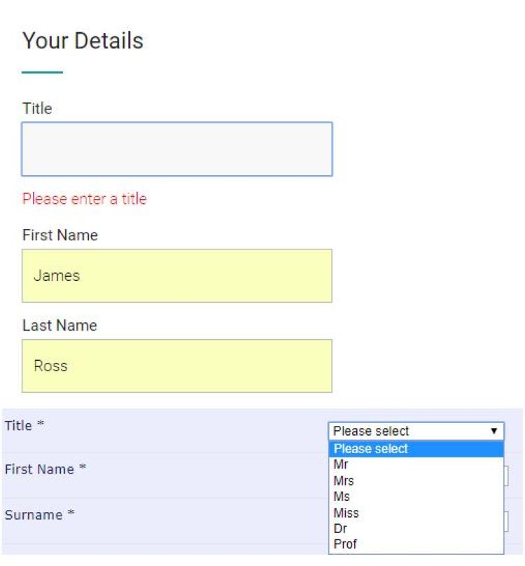 Mandatory title fields.jpg