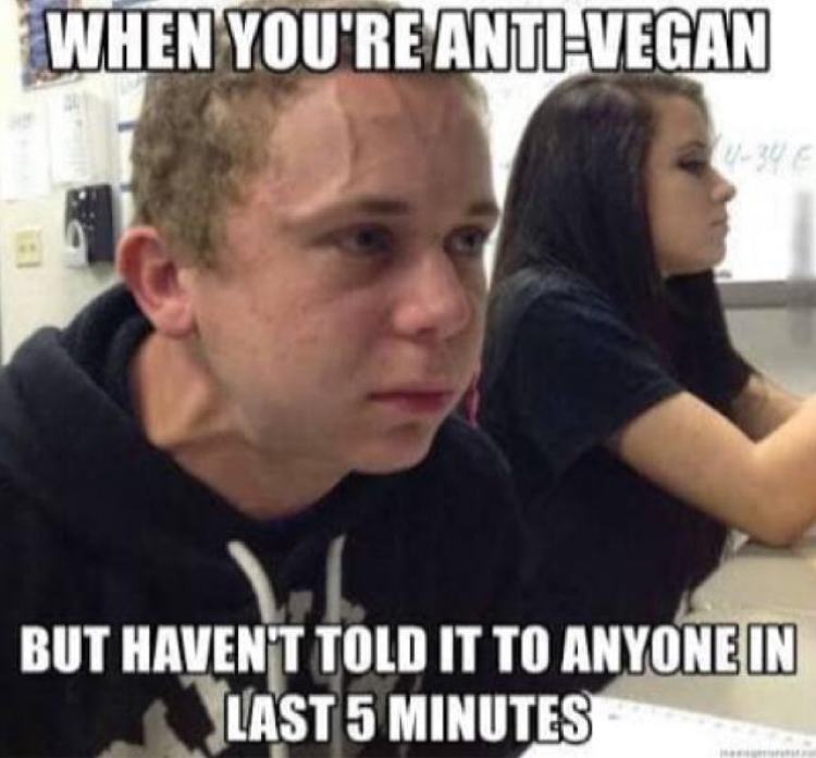 Anti-vegan boy