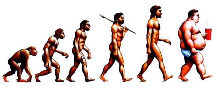 A cynical representation of homo sapien sapien evolution