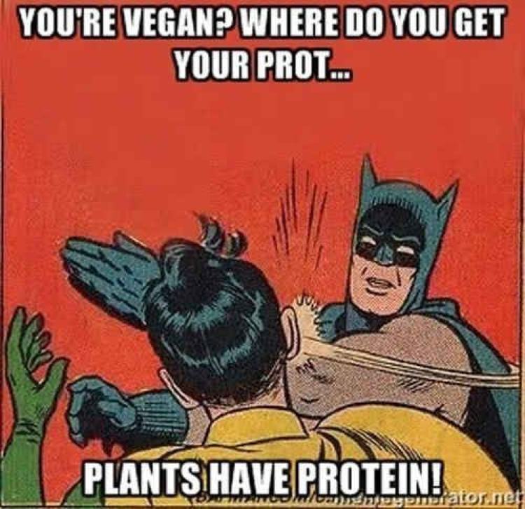 Plants have protein meme